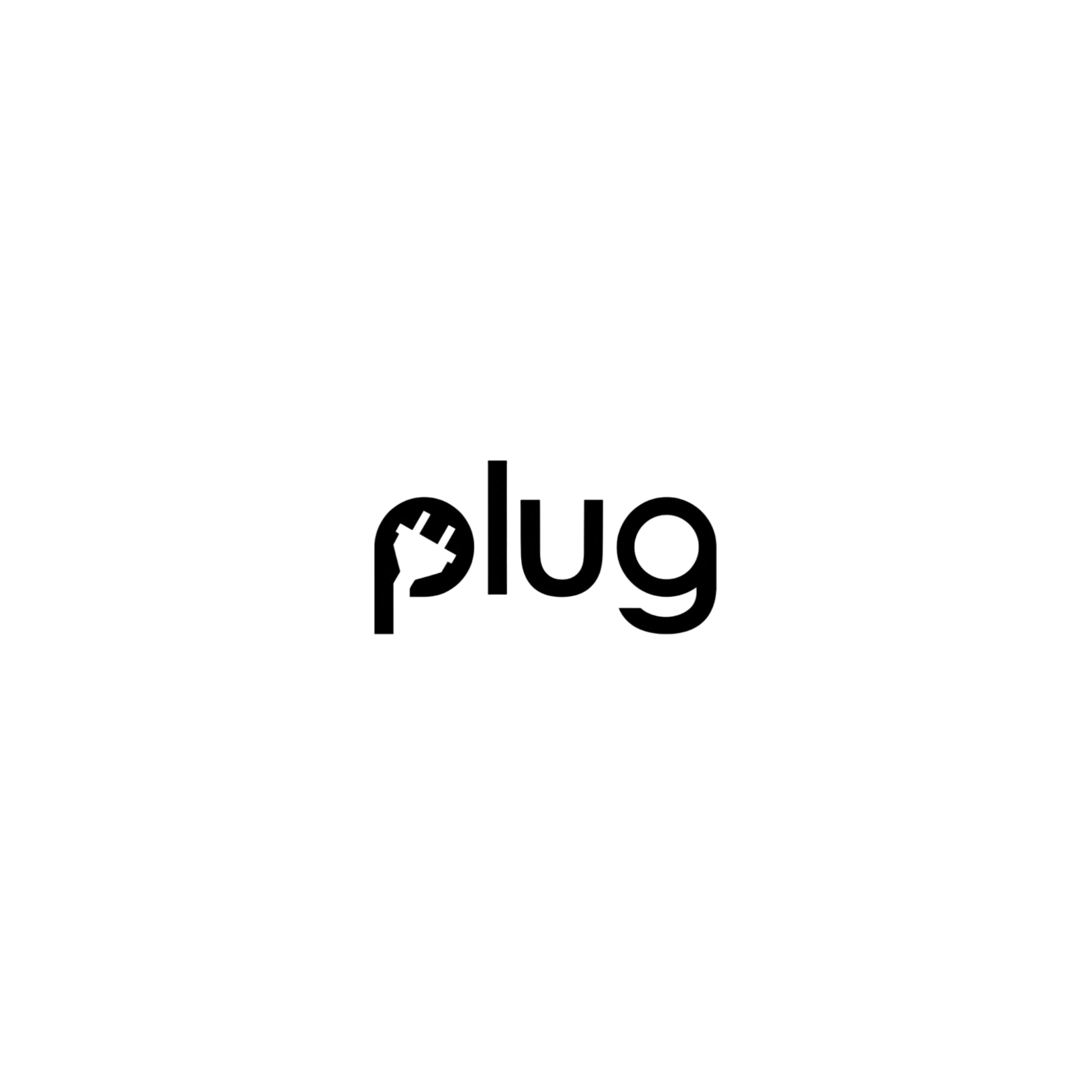 plug